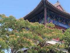 -天津妈祖文化园