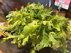 -南门四季铜锅涮肉(东坝店)