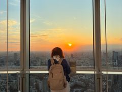 -六本木新城展望台(东京城市景观)