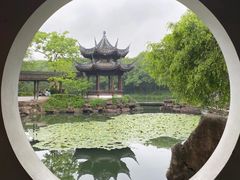 -西溪国家湿地公园