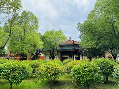 -报恩禅寺
