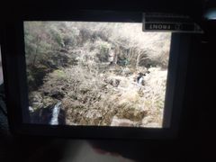 -溪口-滕头旅游景区