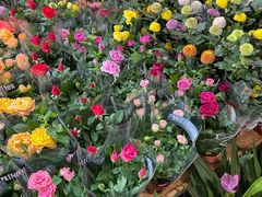 -金三角花鸟鱼综合市场-地面停车场