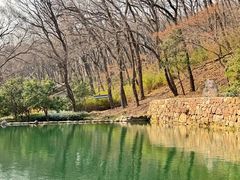 -句容茅山景区