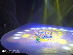 -重庆国际马戏城