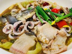 -龙悦湾酒家·八阵鱼生·渔人码头店