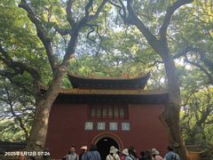 -普陀山风景名胜区-法雨禅寺