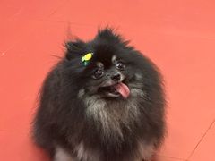 -和它·交个朋友·狗咖猫咖(爱琴海店)