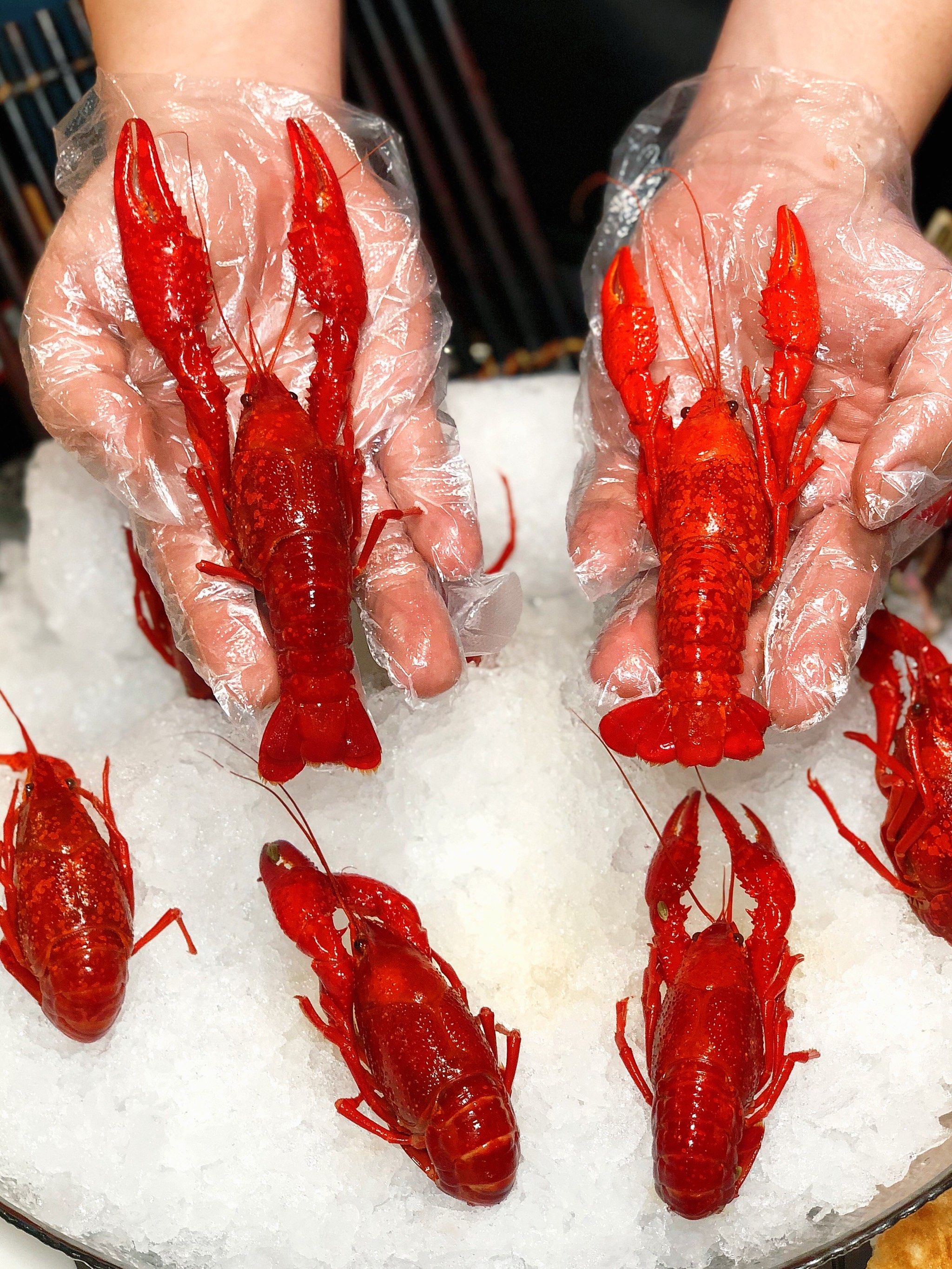 顾村龙虾店不多,有段氏龙虾就够了