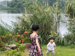 -飞来湖湿地公园