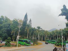 -深圳仙湖植物园