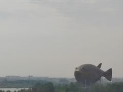 -紫荆广场·花漫里