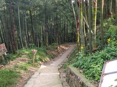 -莫干山风景区