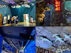 -烟台海昌鲸鲨海洋公园