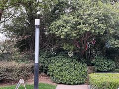 -南桥绿地铂骊酒店