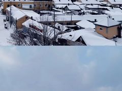 -横道河子东北虎林园