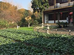 -重元寺香积厨素斋馆