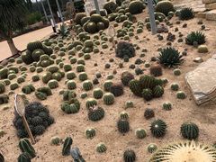 -龙达温泉生态城