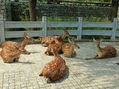 -北京野生动物园