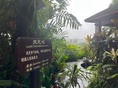 -龙山酒店温泉