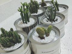 -鲜果搭(联合广场店)