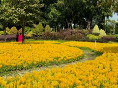-文华公园(禅城区)