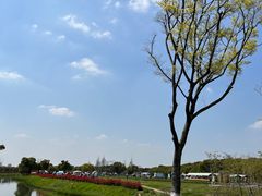 -嘉北郊野公园