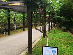 -九龙潭景区
