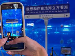 -成都浩海立方海洋公园