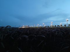 -羚羊峡古栈道森林公园