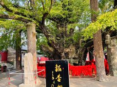 -浮来山风景区