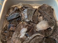 捞派毛肚-海底捞火锅(万丰桥店)