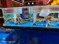 -张家卫·阳江菜·小海鲜(肥婆湾桥店)