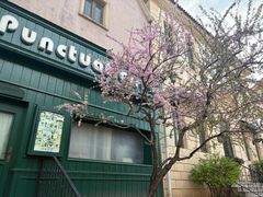 -北京张裕爱斐堡酒庄