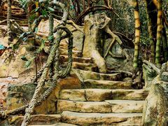 -西双版纳基诺山寨