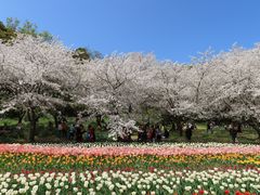 -苏州上方山国家森林公园