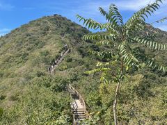 -大岭沟猕猴桃谷风景区