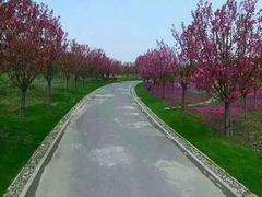 -南通洲际绿博园