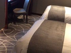 -常州环球恐龙城维景国际大酒店
