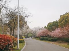 -石湖景区