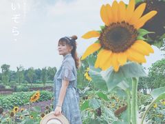 景点-天府芙蓉园