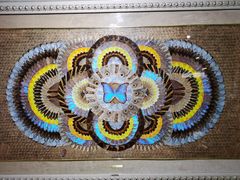 -上海昆虫博物馆