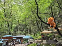 -牛背梁国家森林公园