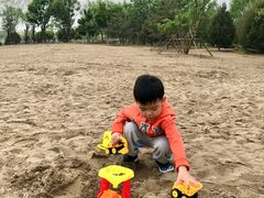 -东郊湿地公园