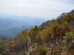 -白草畔自然风景区