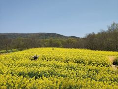 -钟山体育运动公园