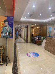 -碧莲盛·不剃发植发