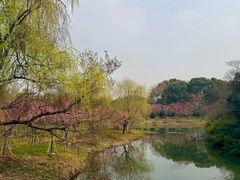 -梁鸿国家湿地公园