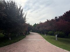 -郑州植物园