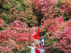 -木兰云雾山